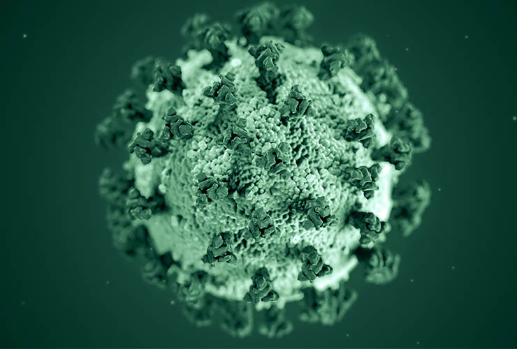 Photo of coronavirus